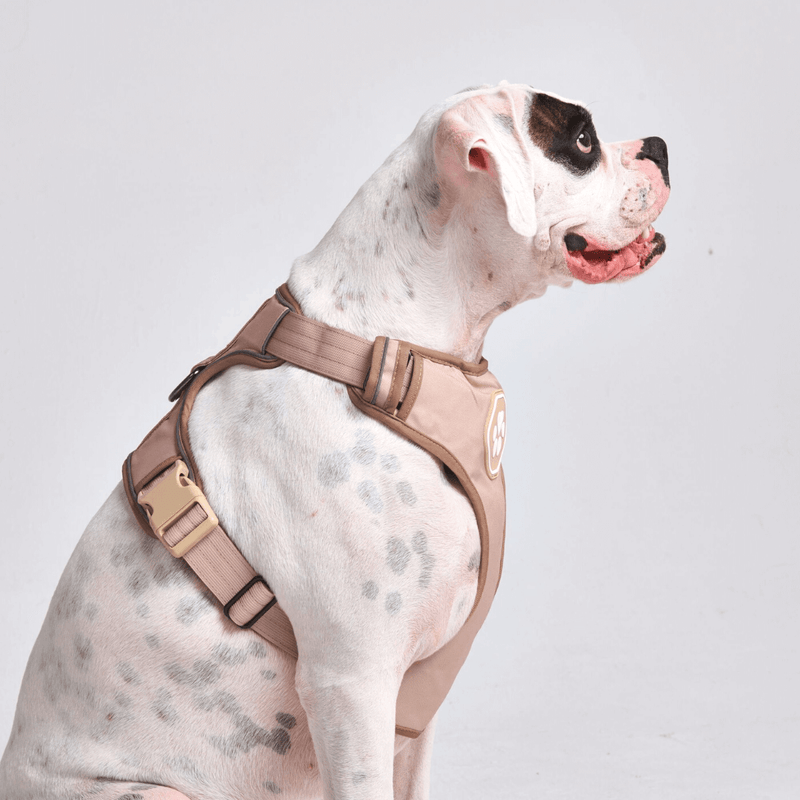 Comfort Control Harness - Tan- [SIZE S] dogs up to 20kg/45lb