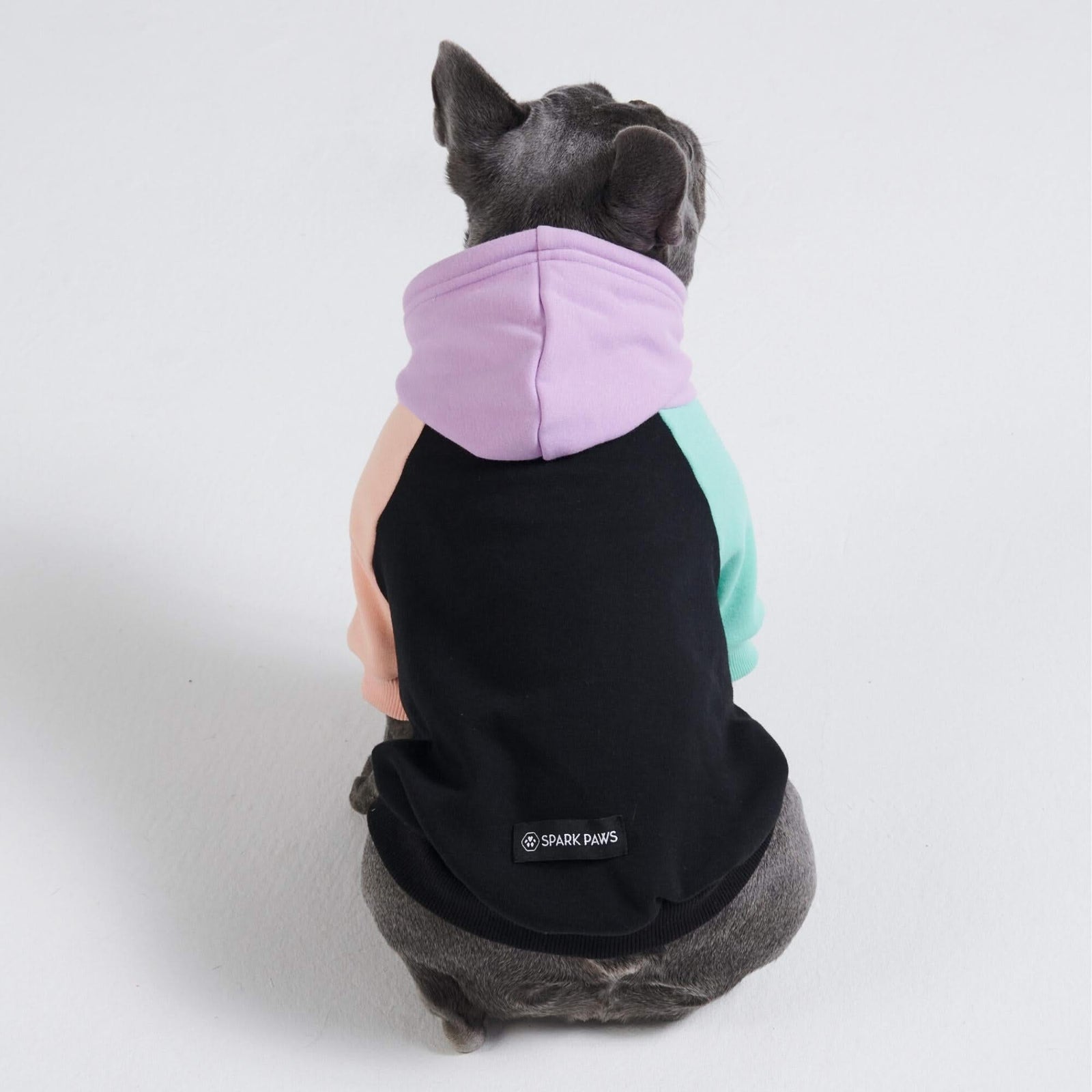 Spark Paws Cyber Punk Color Block Dog Hoodie S