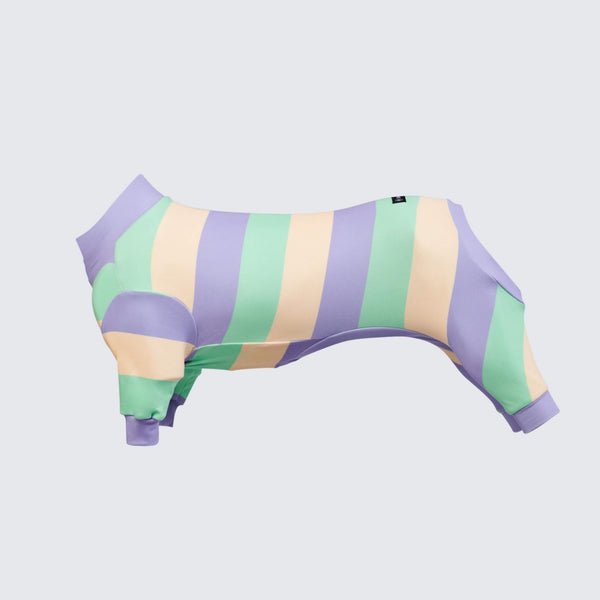 Dog Pajama - Purple Green Yellow