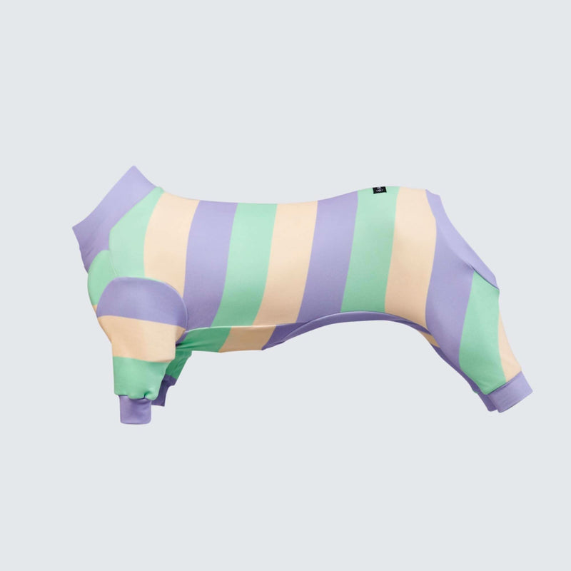 Dog Pajama - Purple Green Yellow