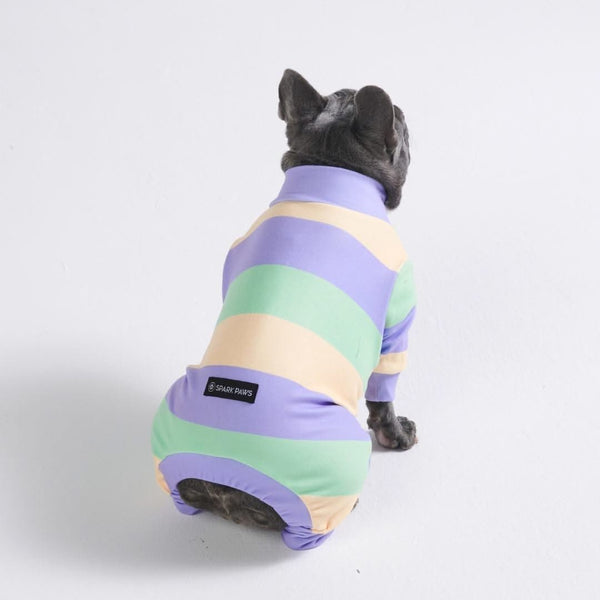 Dog Pajama - Purple Green Yellow