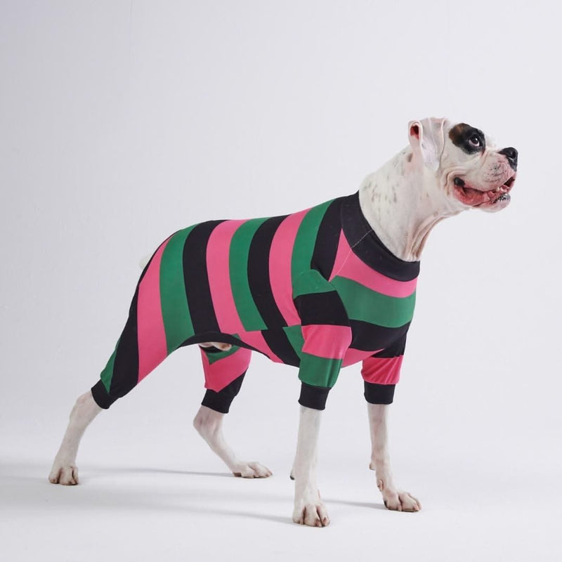 Dog Pajama - Black Green Pink