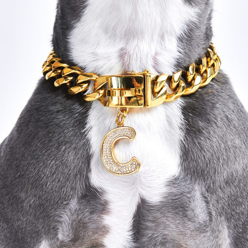 Dog collar best sale charm