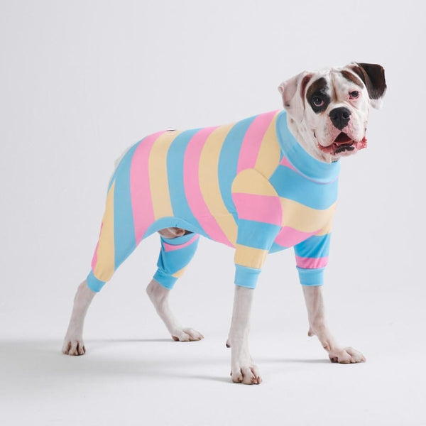 Dog Pajama - Yellow Blue Pink