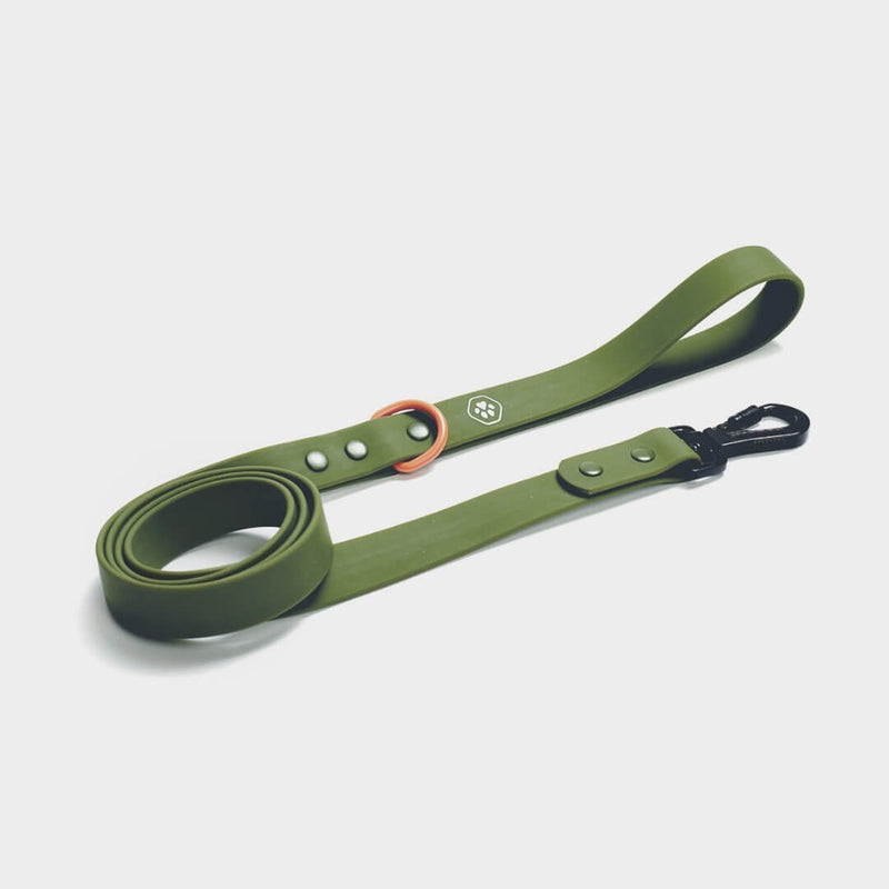 Waterproof PVC Dog Leash - Green