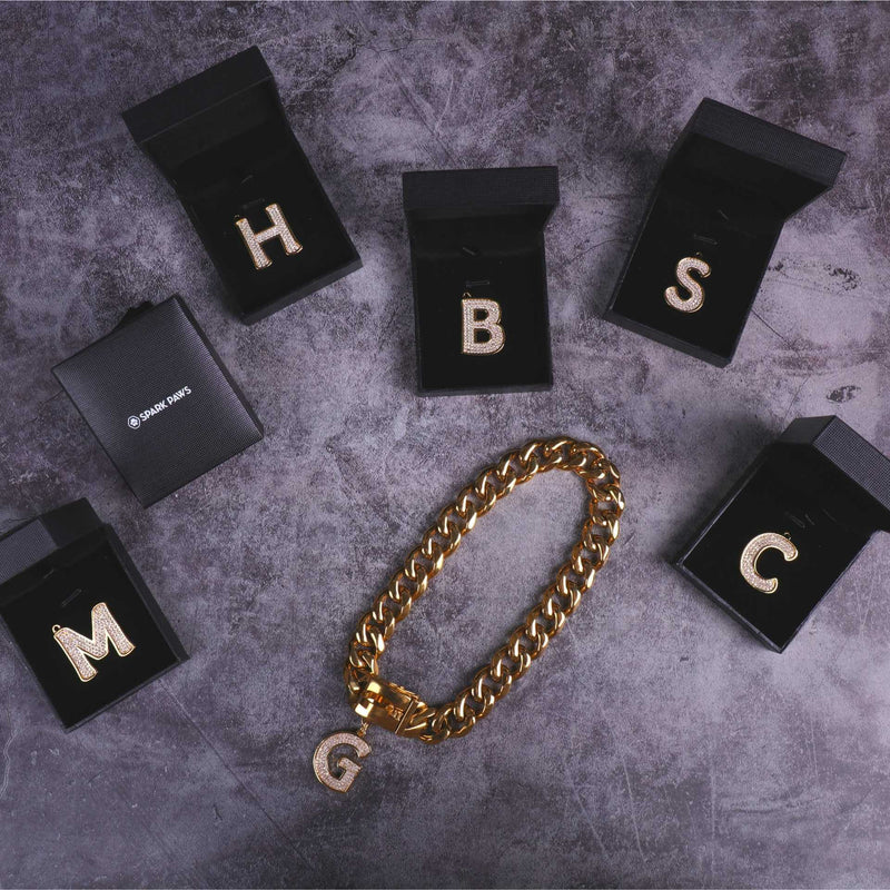 Initial Letter Jewelry Tag - S