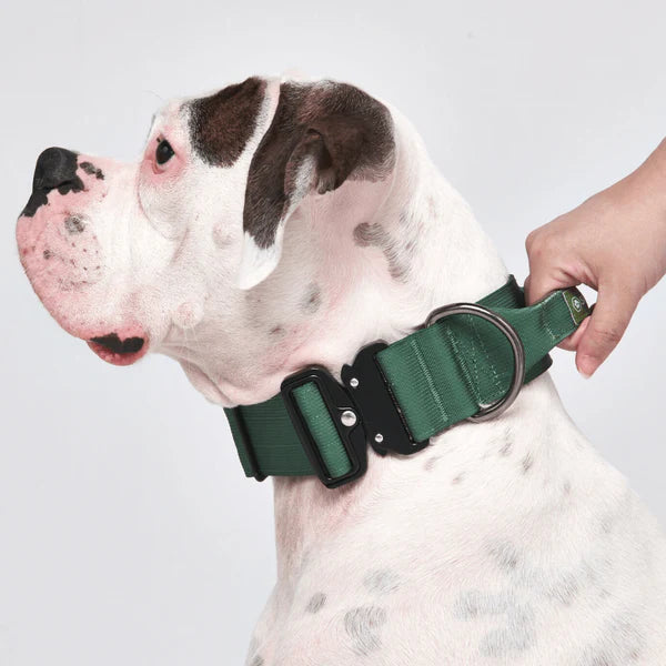 Tactical Dog Collars (2"/5cm)
