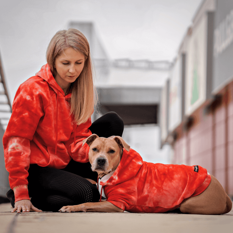 Velvet Dog Hoodie - Ruby Red