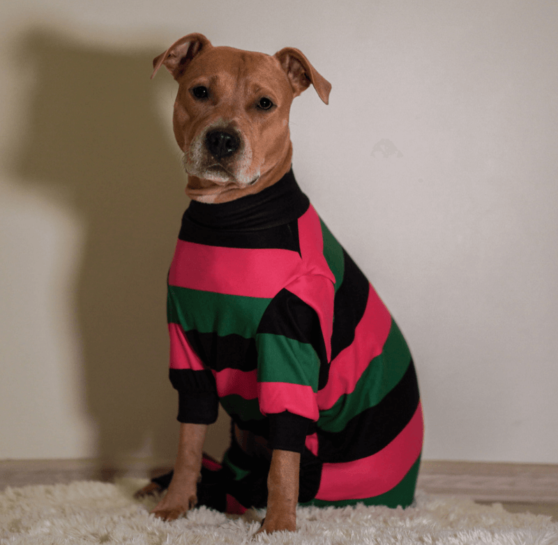 Dog Pajama - Black Green Pink