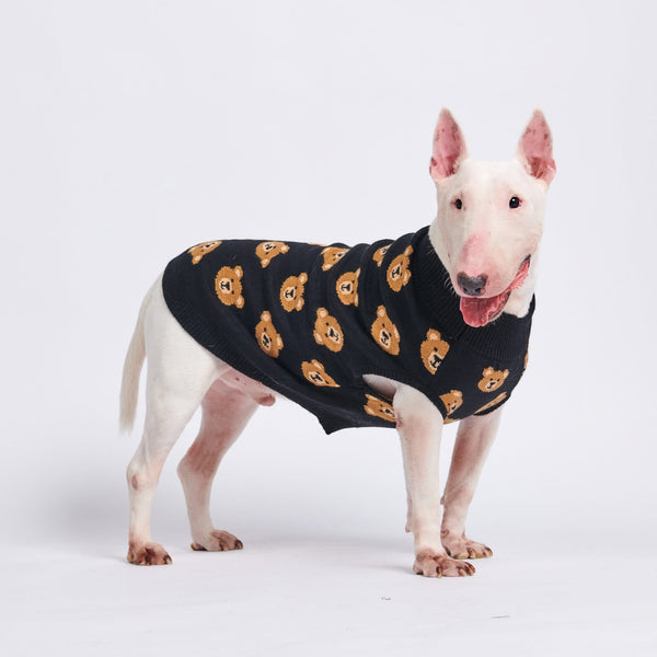 bull terrier apparel