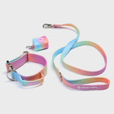 Tactical Dog Collar Set - Pastel Icing (2"/5cm)