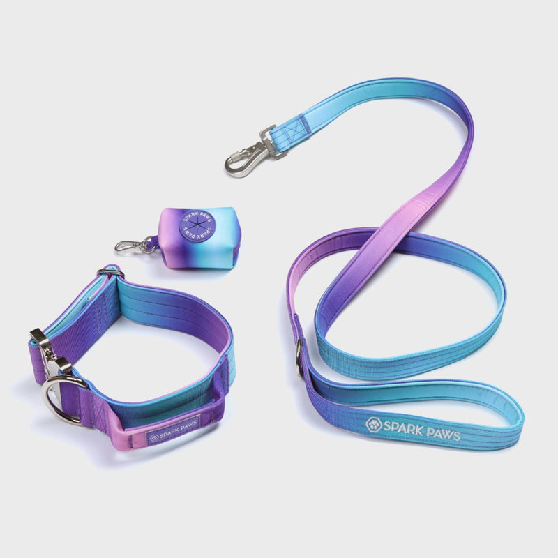 Tactical Dog Collar Set - 90s Retro (1.5"/4cm)
