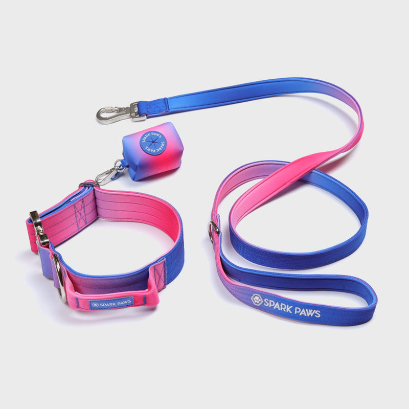 Tactical Dog Collar Set - Snow Cone (2"/5cm)