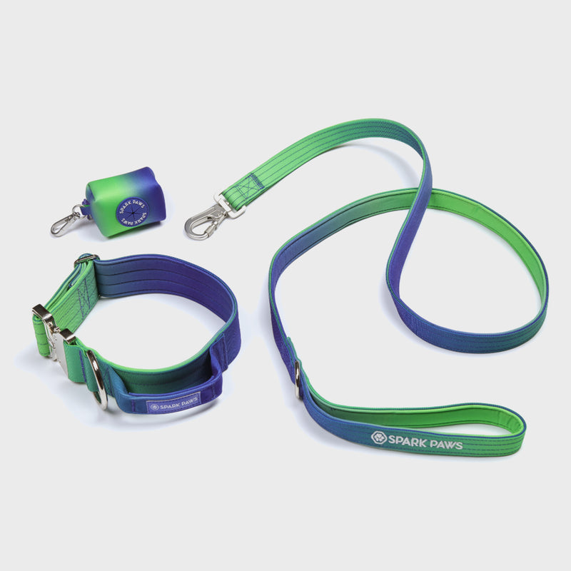 Tactical Dog Collar Set - Lime Wave (1.5"/4cm)