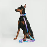 Tactical Dog Collar Set - 90s Retro (1.5"/4cm)