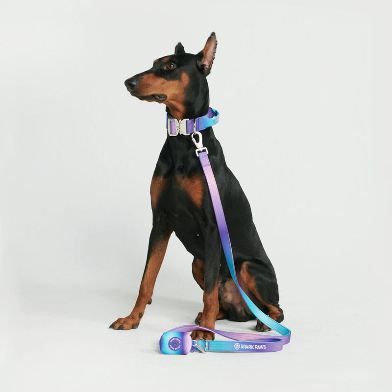 Tactical Dog Collar Set - 90s Retro (1.5"/4cm)