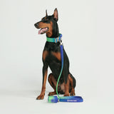 Tactical Dog Collar Set - Lime Wave (1.5"/4cm)