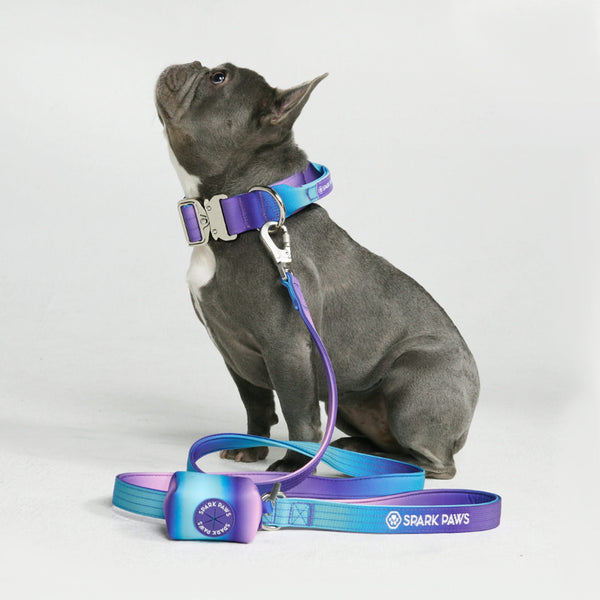 Tactical Dog Collar Set - Multi Color (1.5"/4cm)