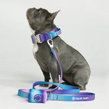 Tactical Dog Collar Set - 90s Retro (1.5"/4cm)