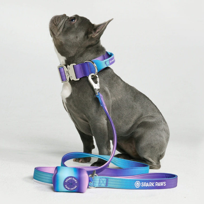 Tactical Dog Collar Set - 90s Retro (1.5"/4cm)