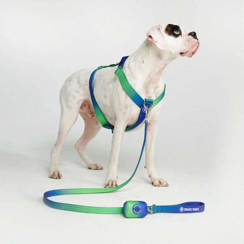 Comfort Control No-Pull Dog Harness - Lime Wave