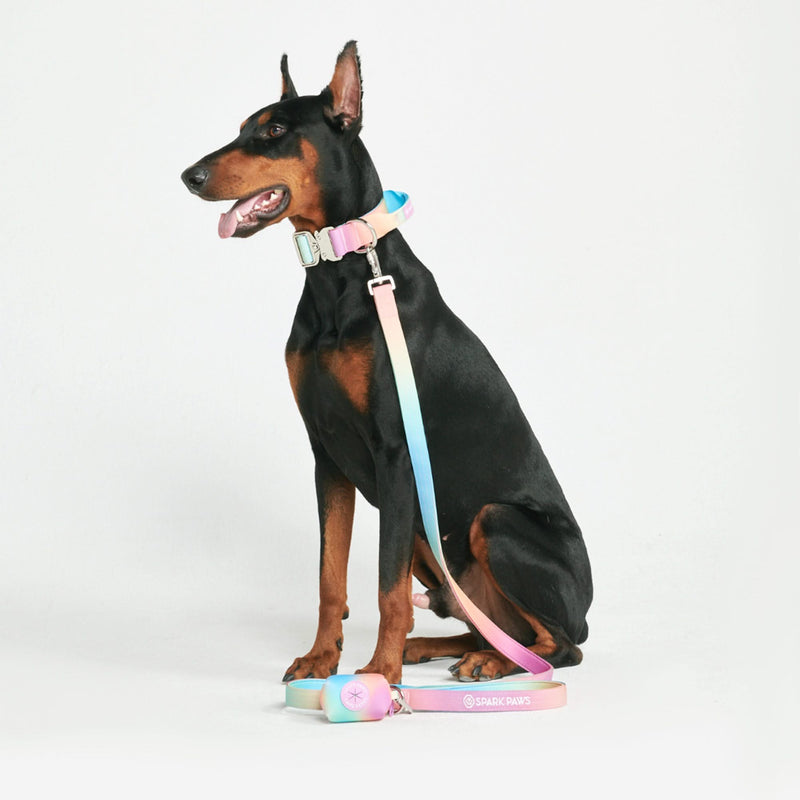 Tactical Dog Collar Set - Pastel Icing (1.5"/4cm)
