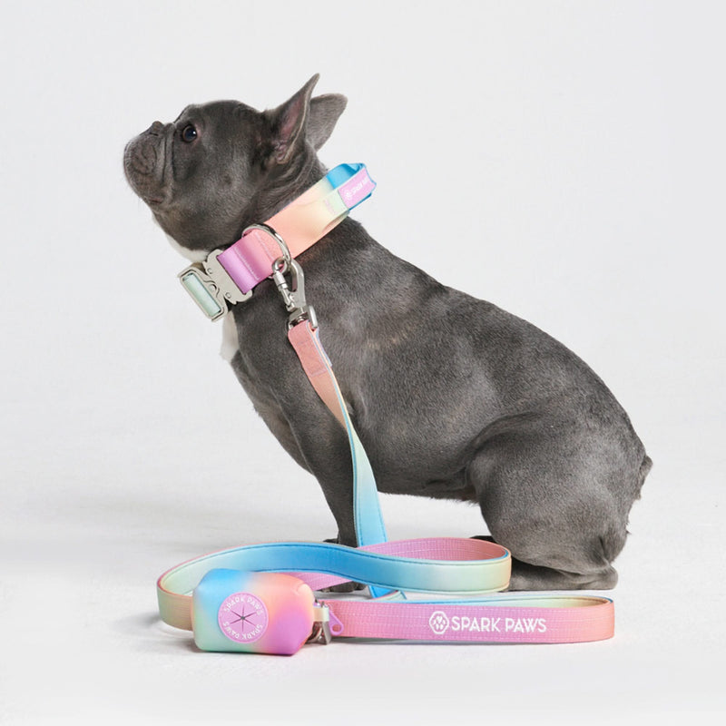 Tactical Dog Collar Set - Pastel Icing (1.5"/4cm)