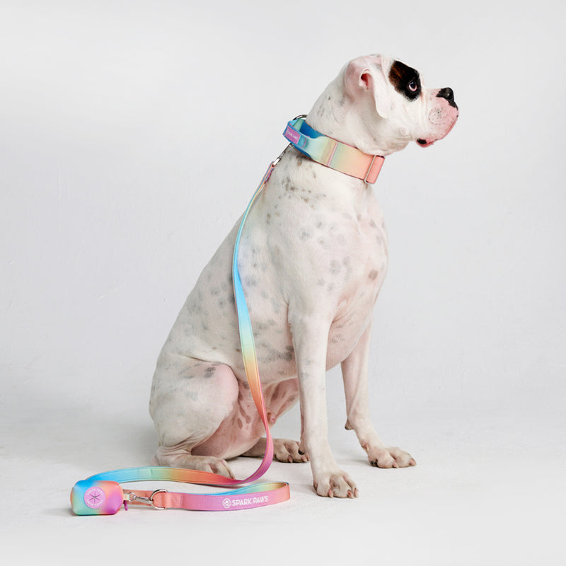Comfort Control Dog Leash - Pastel Icing