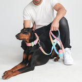 Tactical Dog Collar Set - Pastel Icing (1.5"/4cm)