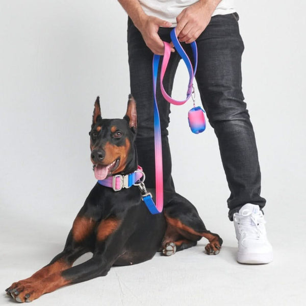 Tactical Dog Collar Set - Multi Color (1.5"/4cm)
