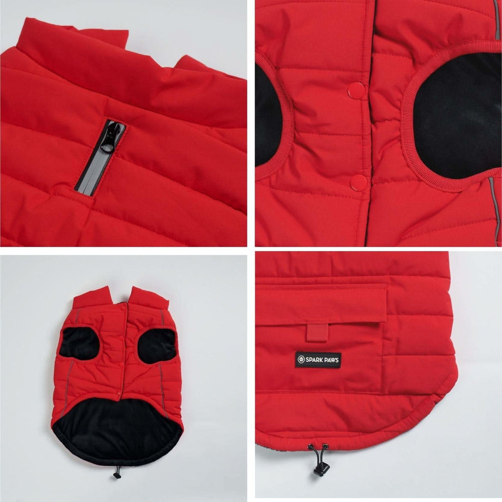 Paws jacket discount