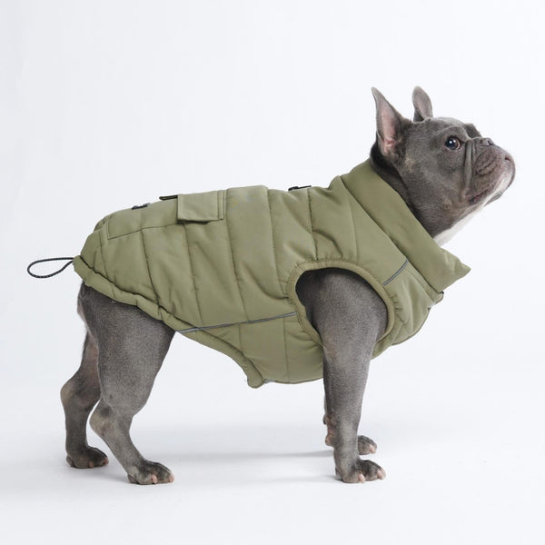 Dog coat with feet shop