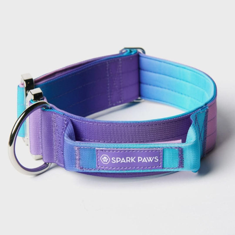 Tactical Dog Collar - 90s Retro (2"/5cm)