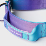 Tactical Dog Collar - 90s Retro (2"/5cm)