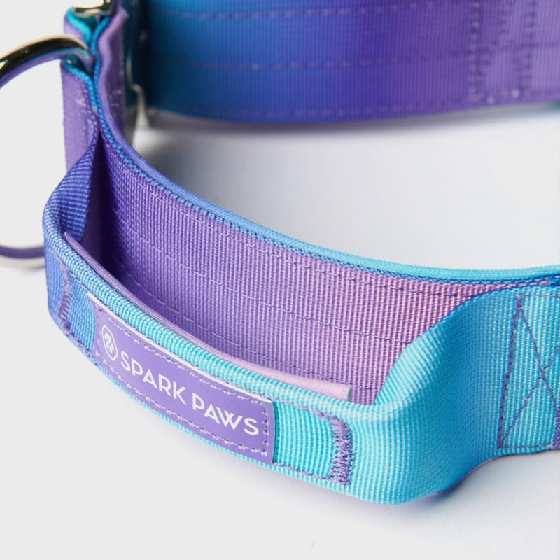Tactical Dog Collar - 90s Retro (2"/5cm)