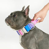 Tactical Dog Collar - Snow Cone (1.5"/4cm)