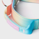 Tactical Dog Collar - Pastel Icing (1.5"/4cm)