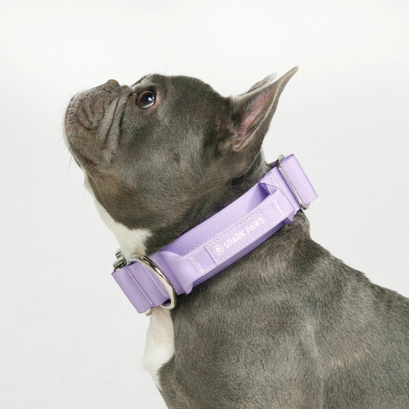 Tactical Dog Collar - Lilac (1.5"/4cm)