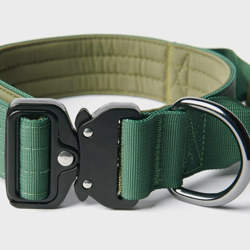 Tactical Dog Collar Set - Army Green (1.5"/4cm)
