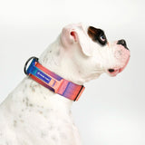 Tactical Dog Collars (2"/5cm)